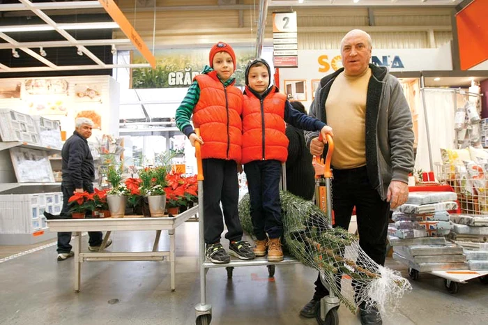 Andrei, 7 ani, și-a dorit un brăduț de ziua luiFOTO: DAVID MUNTEAN