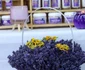 IMG 20230624 WA0044 jpg