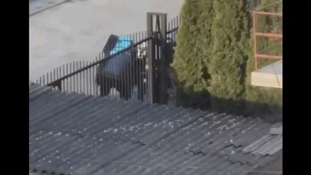 Scene de groază în Cluj-Napoca: un curier a fost bătut cu ranga și lovit cu mașina de un șofer. Poliția face anchetă