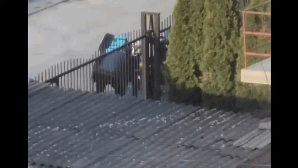 Scene de groază în Cluj-Napoca: un curier a fost bătut cu ranga și lovit cu mașina de un șofer. Poliția face anchetă