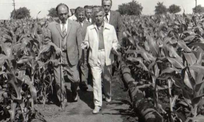   Adevăratul motor al agriculturii socialiste jpeg