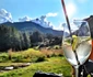12 delia trasee montane in franta si elvetia drumetii 7 jpg jpeg
