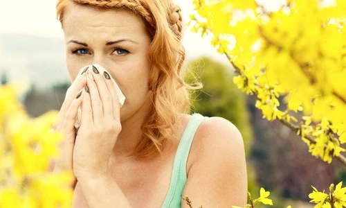 1 76374 original jpg jpeg