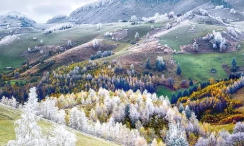 Expoziția „Călător în Țara Bârsei” jpeg