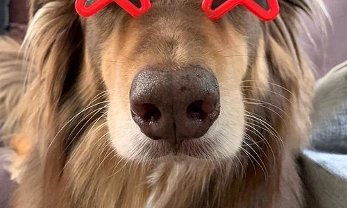 20 46299960 373420246557632 2217062353983394539 n jpg jpeg