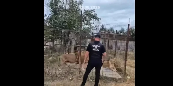 lei menajerie Damboviţa captura video Facebook Sonia Simionov jpg