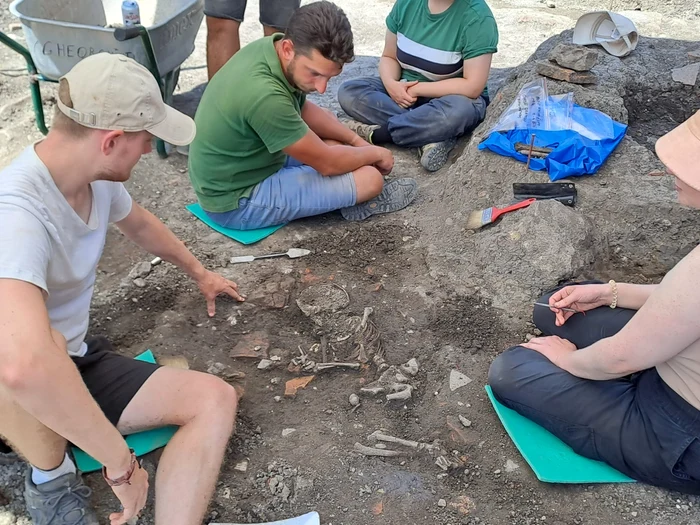 Unul dintre mormintele medievale descoperite la Alba Iulia FOTO Muzeul Unirii