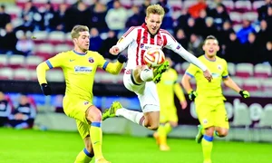 16 mediafax foto laurentiu mich jpeg