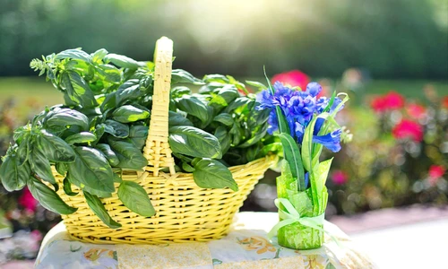 1 77111 original jpg jpeg