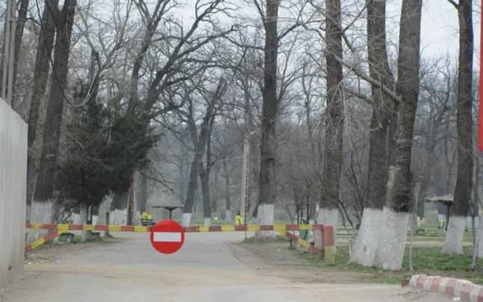 Barierele care interzic intrarea în pădure cu autoturisme sunt doar de decor foto: arhivă Adevărul Alexandria