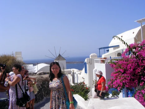 romanca rechin 2 png