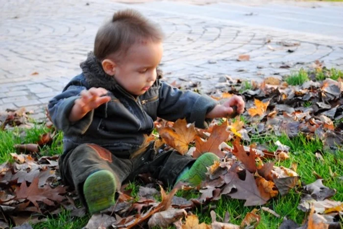 Vremea se va răci brusc și semnificativ în zilele de 15 și 16 septembrieFOTO: Click!