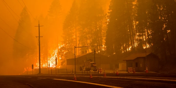 Pompierii se luptă cu incendiul Dixie în California SUA FOTO Profimedia