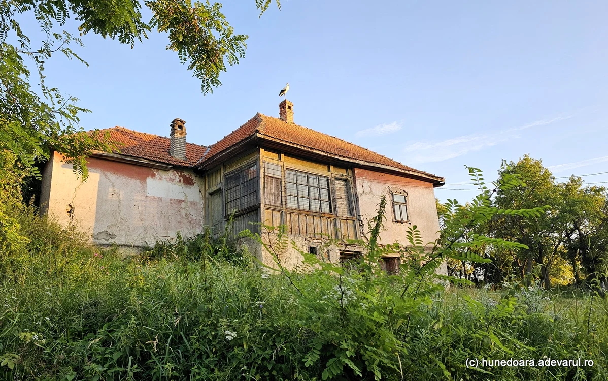 O barză și-a găsit refugiu pe o casă veche din Cerișor. Foto: Daniel Guță