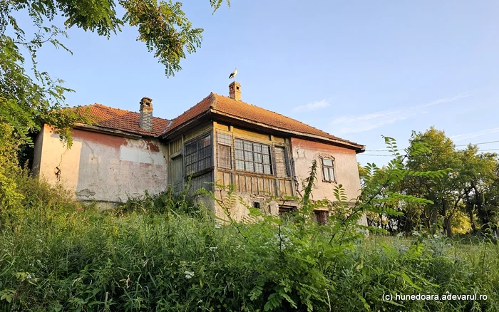 O barză și-a găsit refugiu pe o casă veche din Cerișor. Foto: Daniel Guță