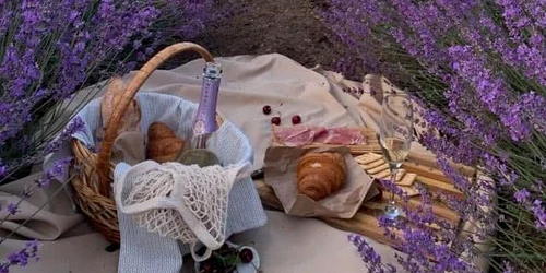 cina romantica printre lavanda jpg