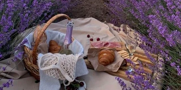cina romantica printre lavanda jpg