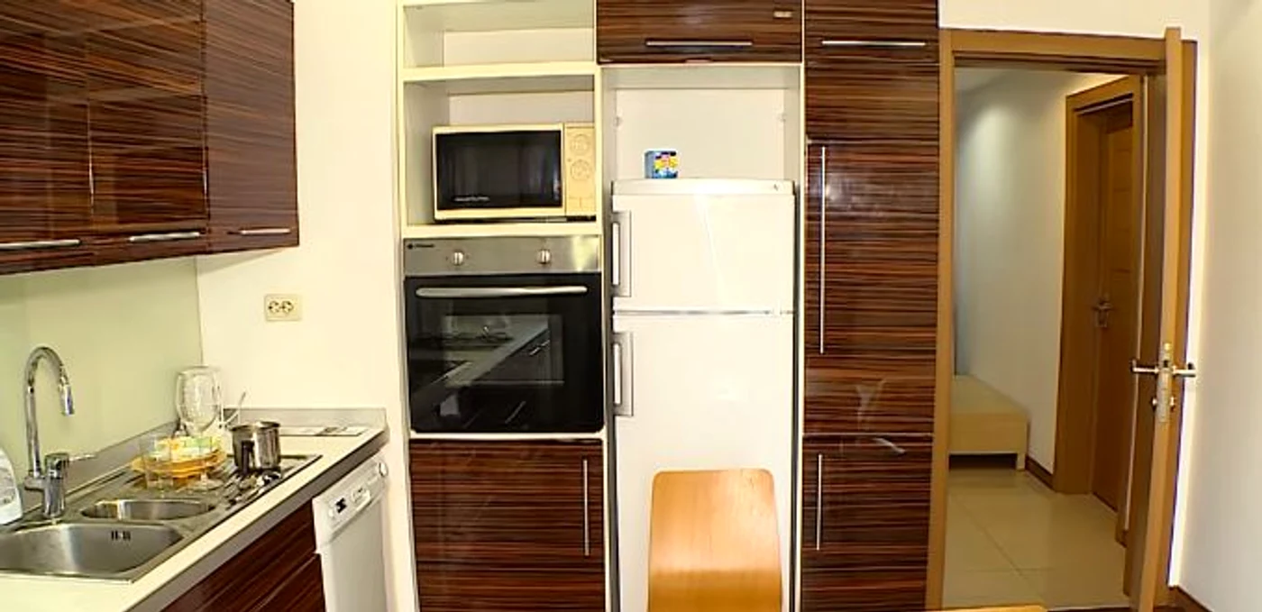Bucătăria apartamentului în care stă Irinel Columbeanu