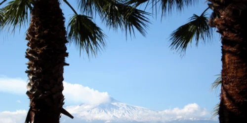 Palmieri Etna