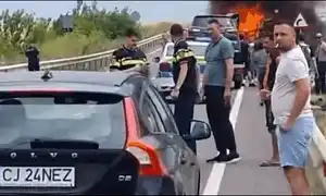 BT bt gif gif