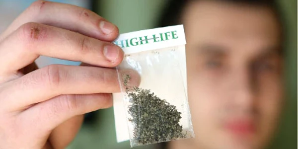 În România sunt peste 500.000 de consumatori de plante etnobotanice
