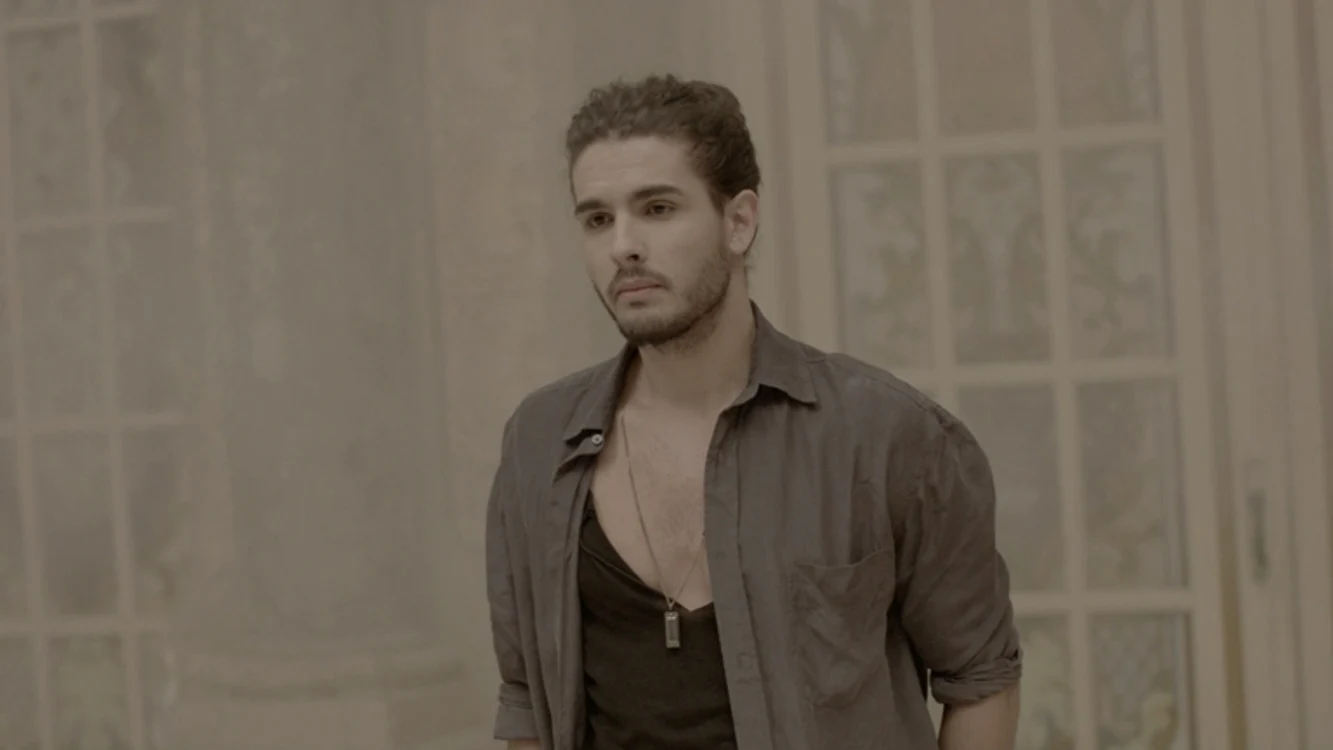 
    Mihai Ristea  