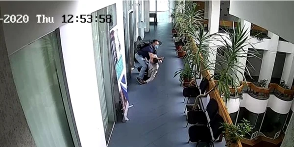 irimia matisan