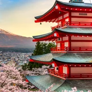 Flori cireș Japonia FOTO Shutterstock
