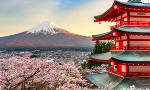 Flori cireș Japonia FOTO Shutterstock