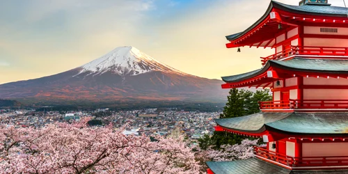 Flori cireș Japonia FOTO Shutterstock