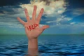 hand 792920 1280 jpg