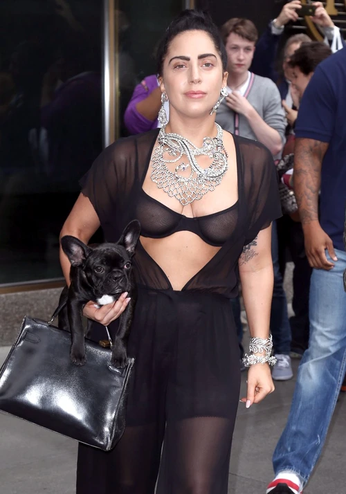 lady gaga hepta 1704386 jpeg