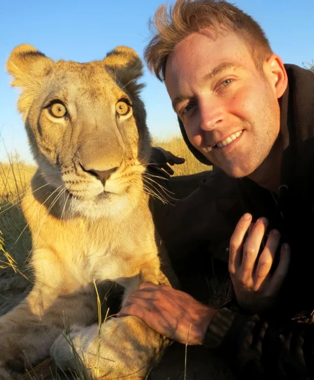 Leul iubăreţ (FOTO CATERS)