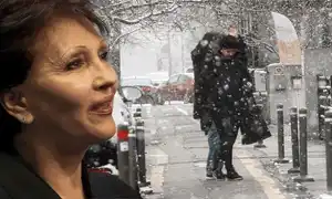 cub dida dragan animat gif