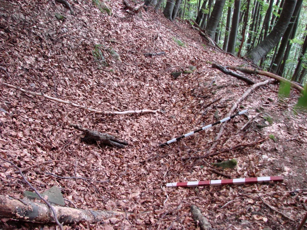 5 LOCUL BORDEIULUI Foto 2014 jpg jpeg