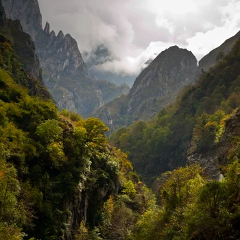 picos de europa spania foto pixabay