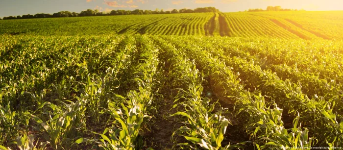 Căile de transport sunt blocate, mulți agricultori ucraineni nu știu încotro să meargă cu marfa