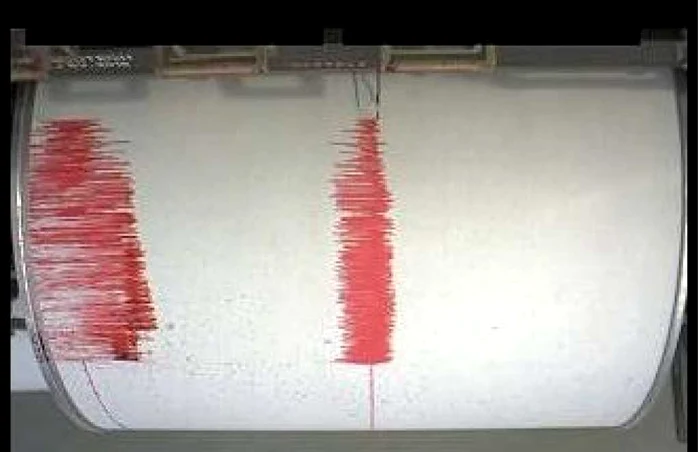 Seismele s-au înregistrat în zona Vrancea