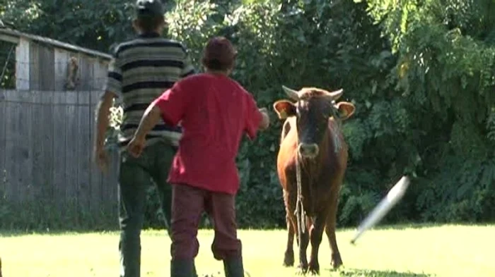 (Foto: Romania TV)