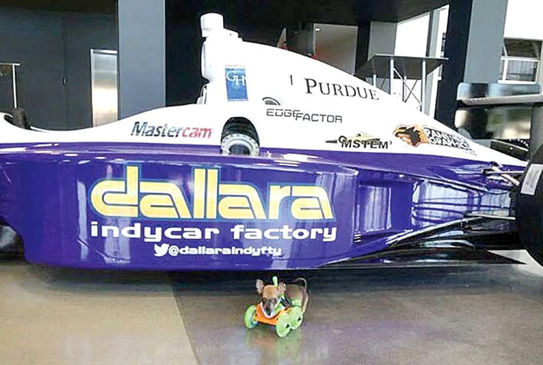 Turbo-Roo s-ar putea întrece şi cu bolizii de la  Formula 1