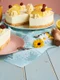Cheesecake cu lamaie  Sursa foto shutterstock 2140680263 jpg