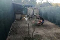 veterinar 3 jpeg