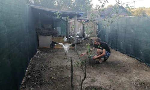 veterinar 3 jpeg