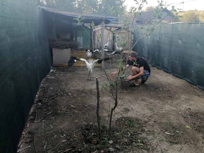 
    Necuvântătoarele,  fericite în braţele  medicului Daniel BejinariuFotografii: Facebook  