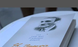 Plumb de iarnă jpeg