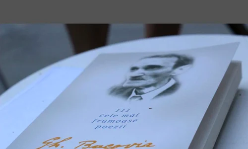 Plumb de iarnă jpeg