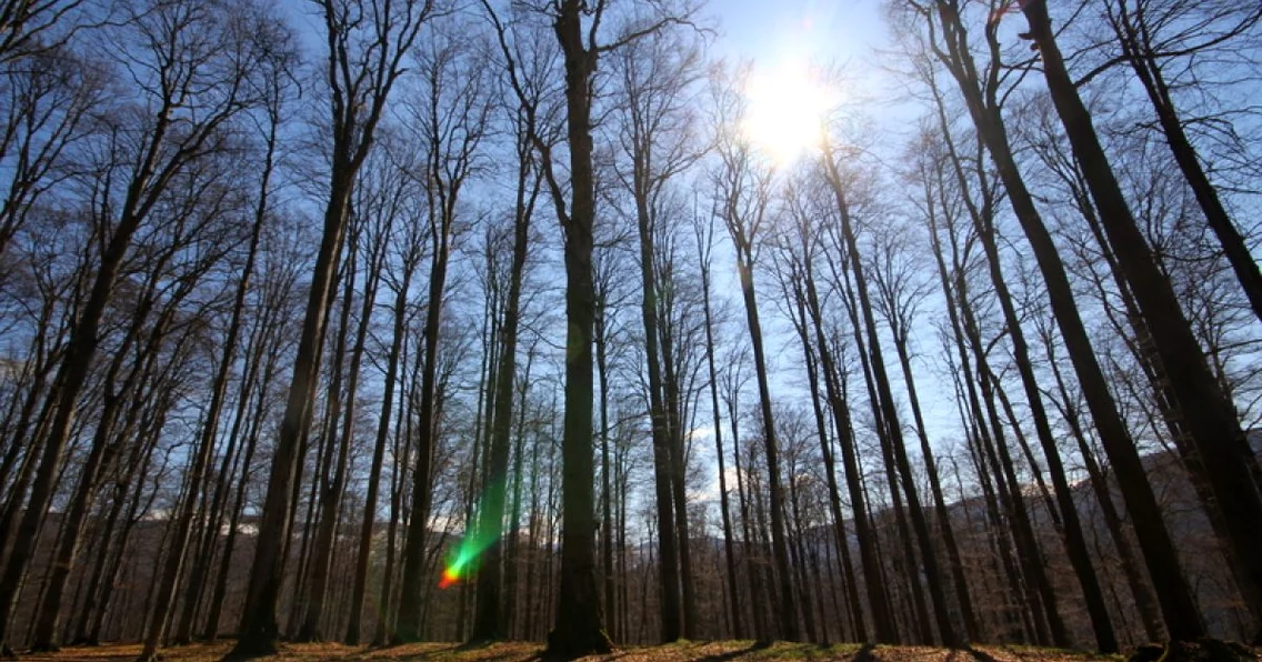 Sarmizegetusa Regia FOTO