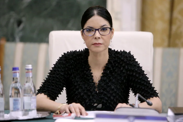 Ana Birchall, fost ministru al Justiţiei. FOTO gov.ro