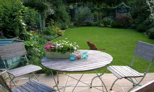 1 81738 original jpg jpeg