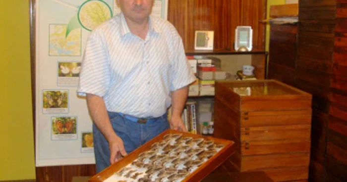 Iaşi: Constantin Corduneanu Are o colecţie ştiinţifică de zeci de mii de fluturi (PORTRET)